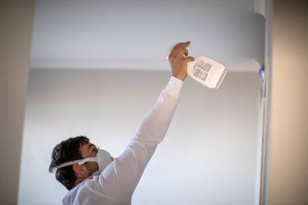 Mold Testing and Removal in Hoover, AL