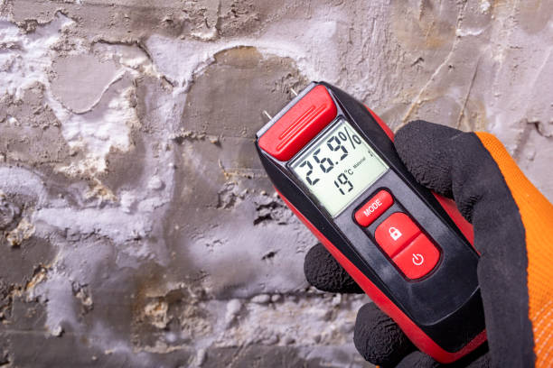 Best Affordable Mold Removal  in Hoover, AL