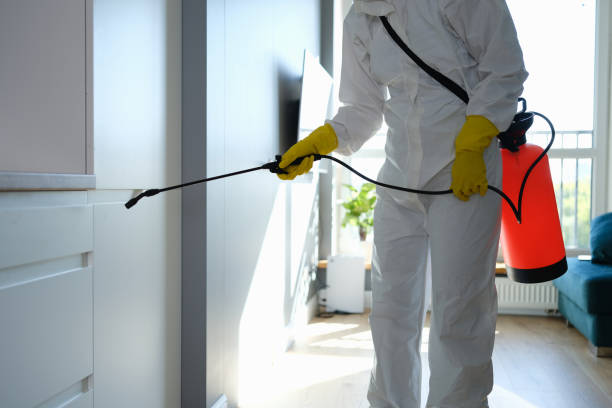 Professional Mold Removal in Hoover, AL