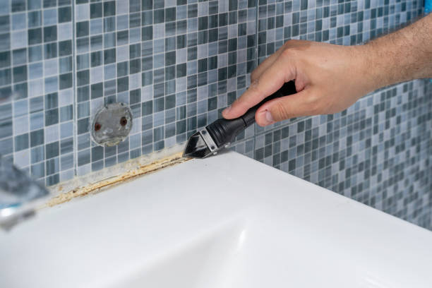 Best Mold Removal Specialists  in Hoover, AL