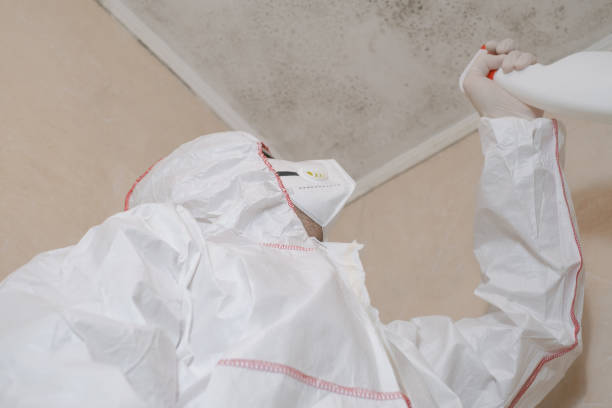 Water Damage Restoration in Hoover, AL