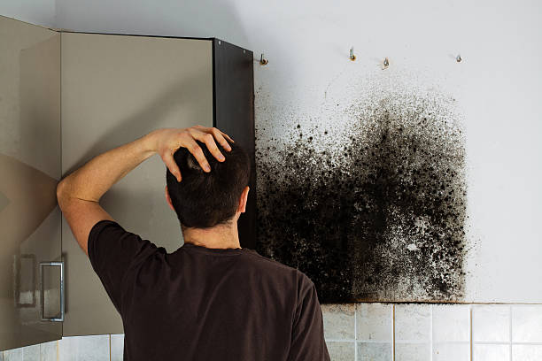 Best Office Mold Removal Services  in Hoover, AL